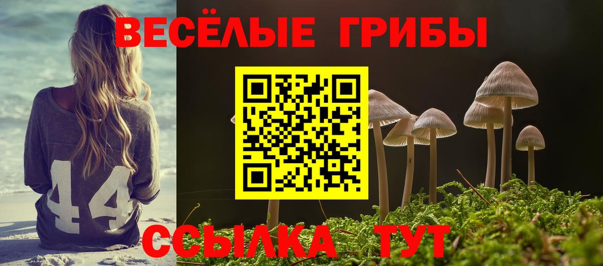 Глазов  Галлюциногенные грибы Cubensis  Вход с VPN 